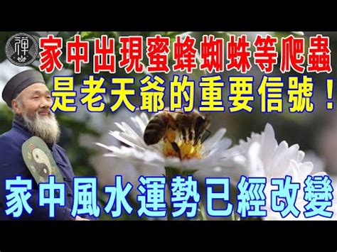 蜂窩風水|家有蜂窩預示什麼風水？千萬別把危險留在家中！